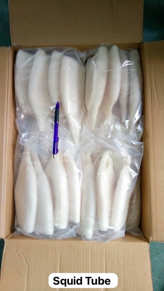 Squid Tube