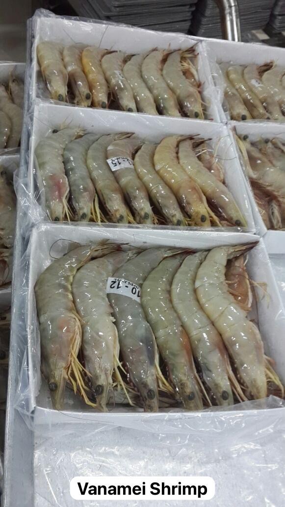Vanamei Shrimp